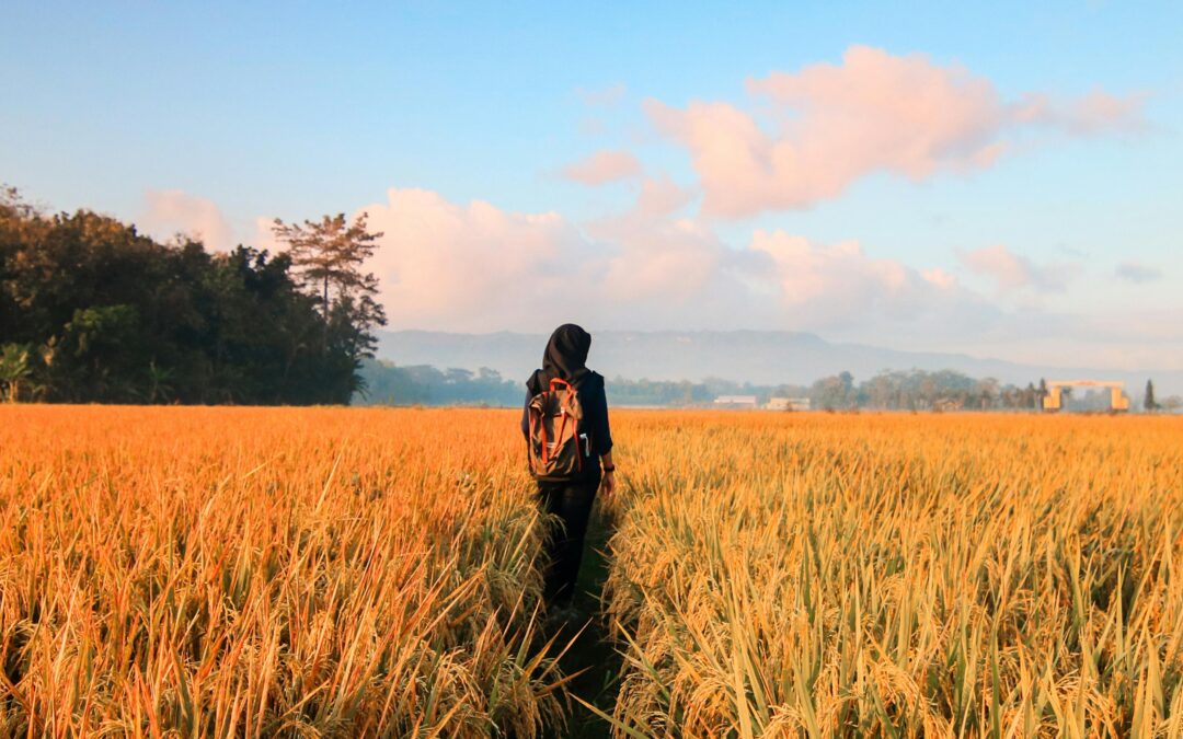 Seniorzy jako klienci i konsumenci